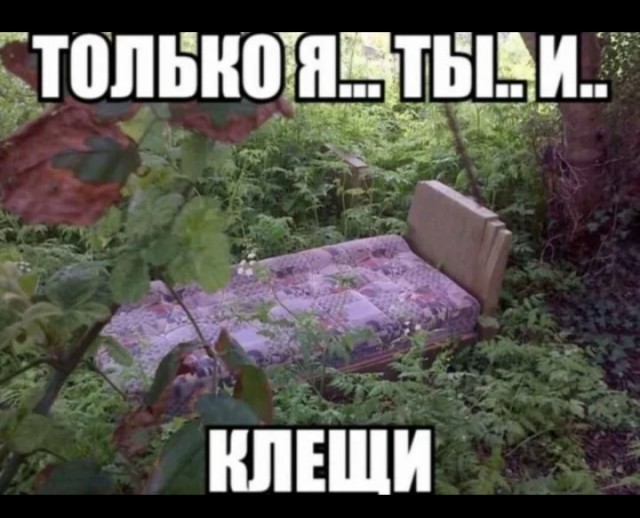 Приятно, очень приятно. Кто-то меня ждёт!