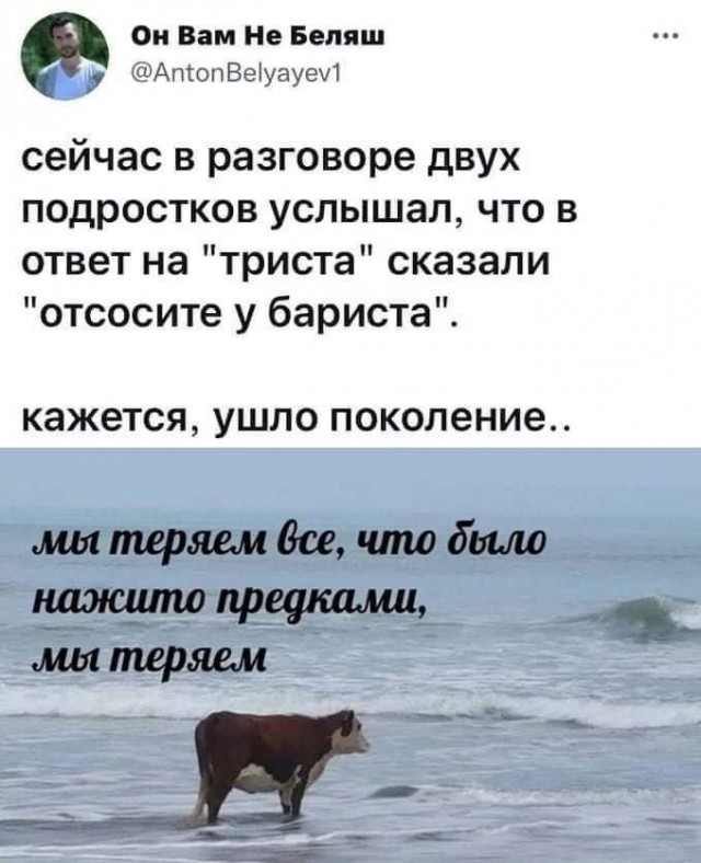 Так себе картинки 01.09.25
