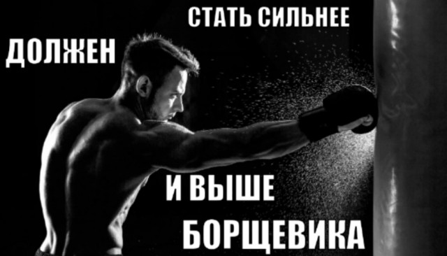 В России создан препарат, уничтожающий борщевик с эффективностью до 100%