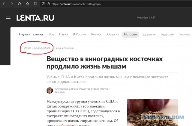 В Китае создали таблетки от старости
