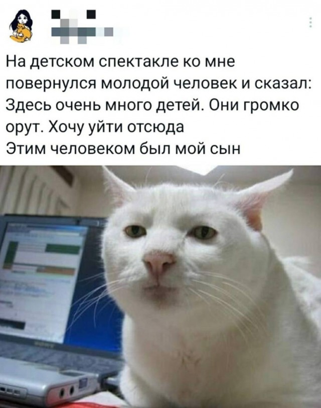Так себе картинки 14.11.25