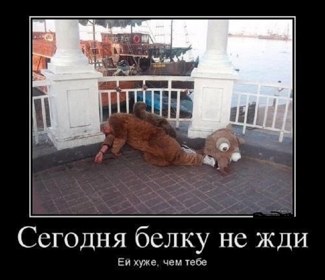 Так себе картинки 07.12.25