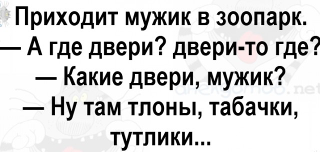 Время летит...