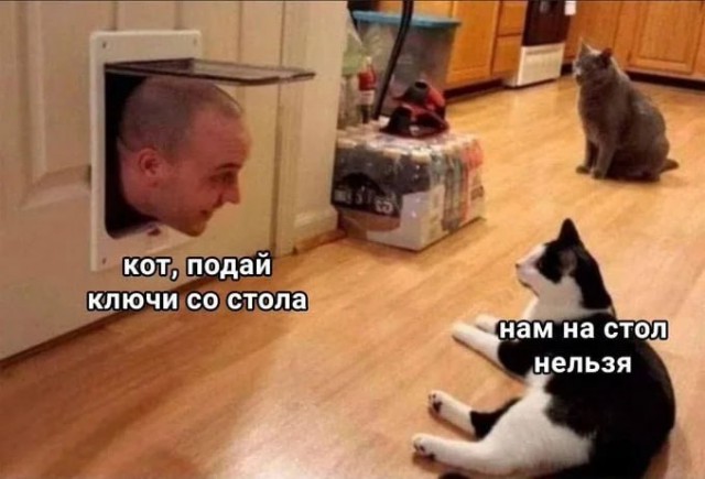Воспитание