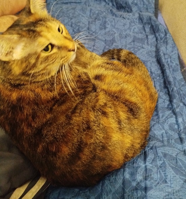 Подарок судьбы