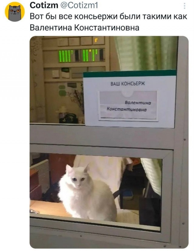 Пятница . Картинки
