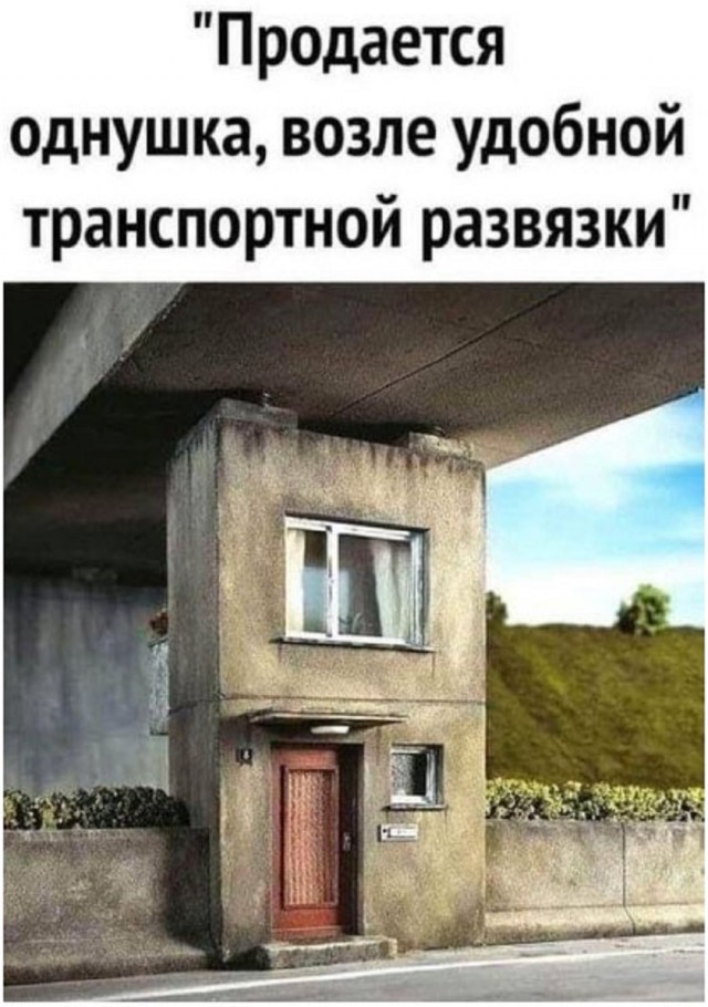 Так себе картинки 29.12.25