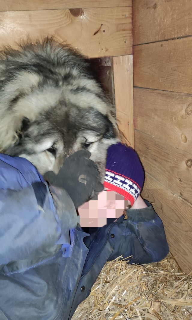 Собакочетверг