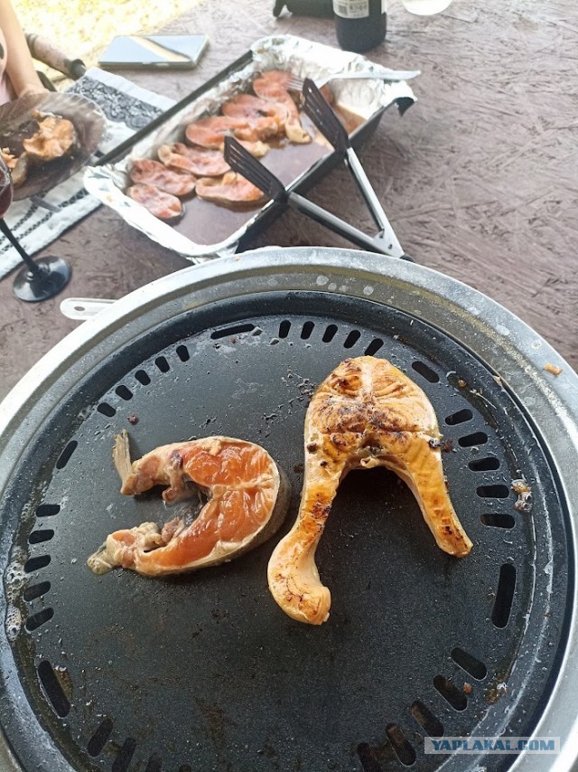 Плюсы загородного дома⁠