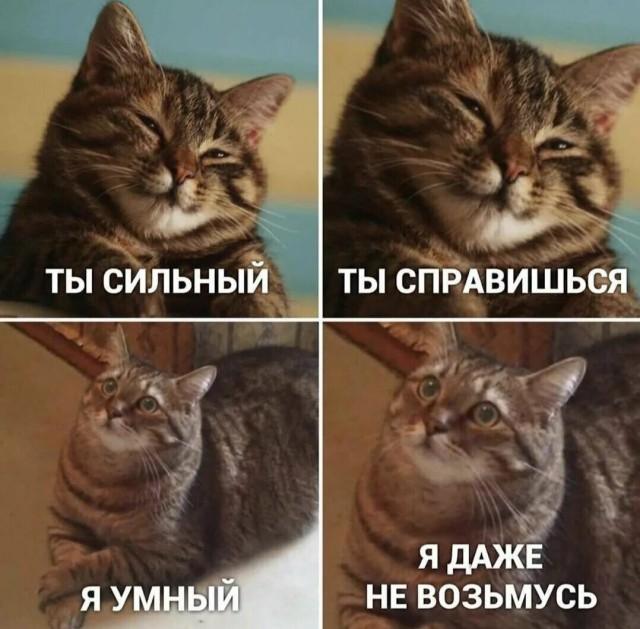 Котямбосы