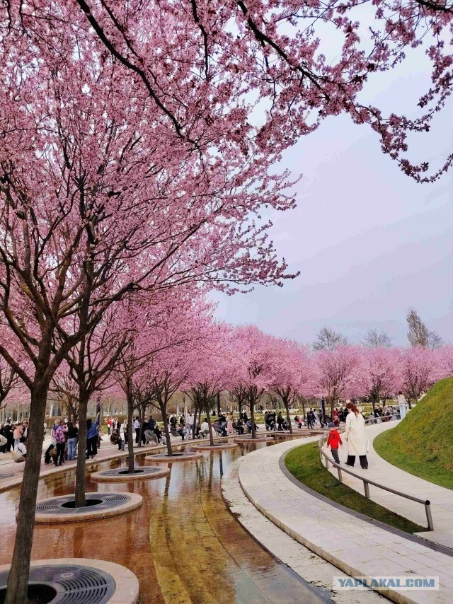 Весна в парке Галицкого