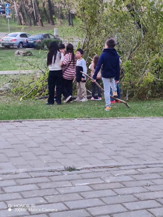 Назад в прошлое