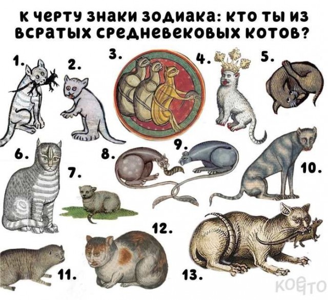 Картинки для деградации 195 (разной степени свежести)