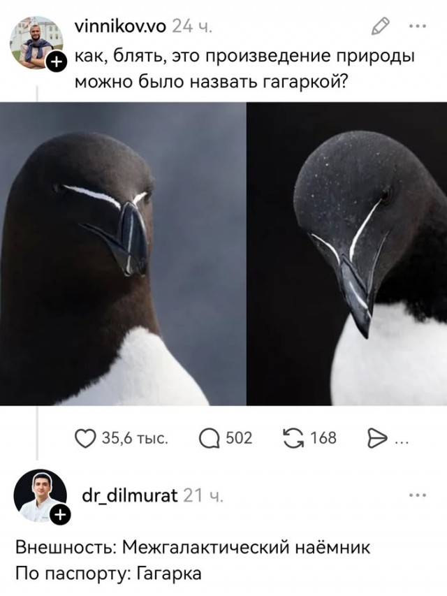 Таков путь