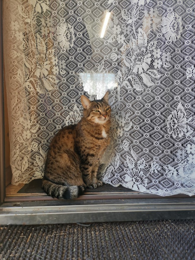 Драка