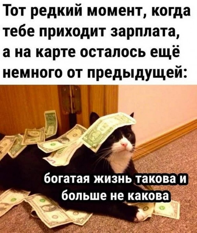 Веселые картинки в последний день лета (31.08)