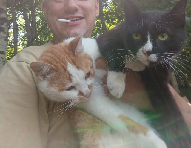 Коты с которыми служу.или которым служу!)