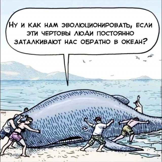 Так себе картинки 27.09.26