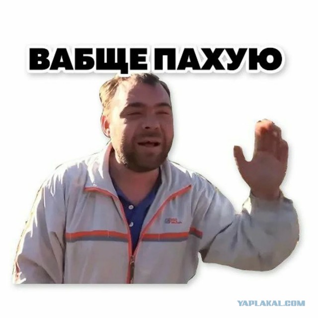 Шерстяной движ