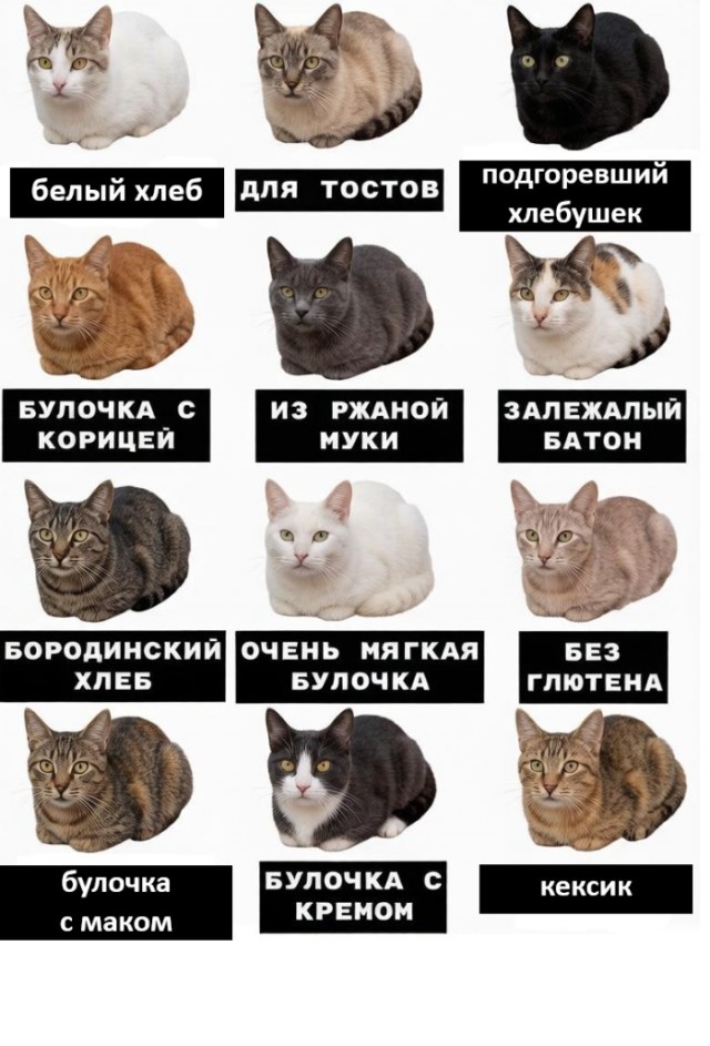 Картинки для деградации 300