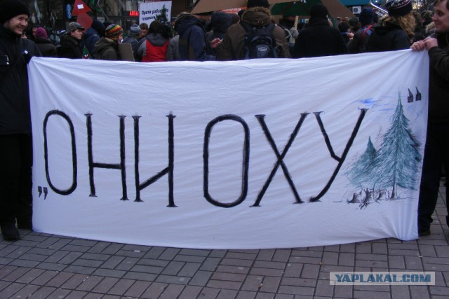 Бензин подорожает на 10% в будущем году