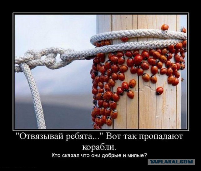 Демотиваторы.