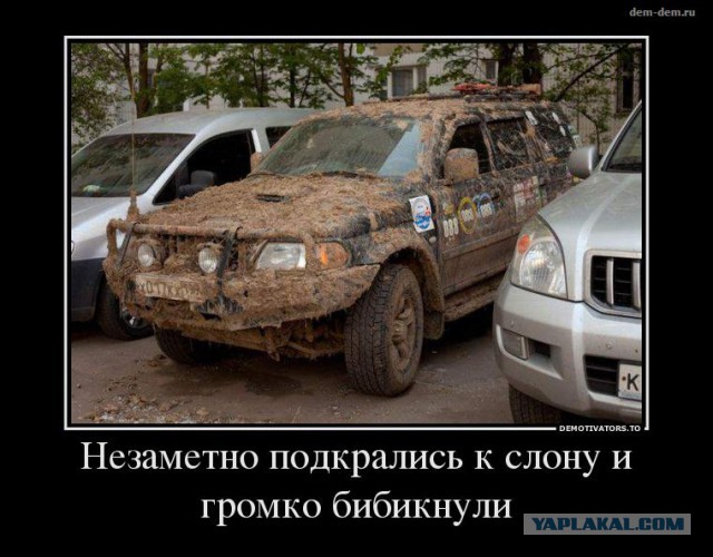 Немного позитива на пятницу