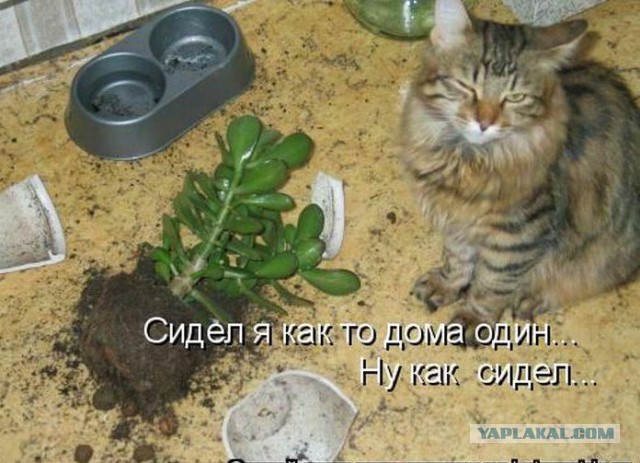 20 шкодливых животных