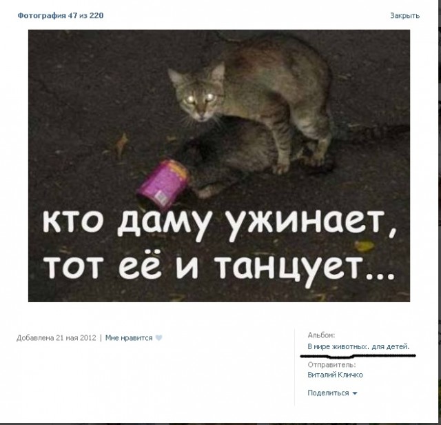 Топ 10 ляпов и мемов предвыборной кампании-2012