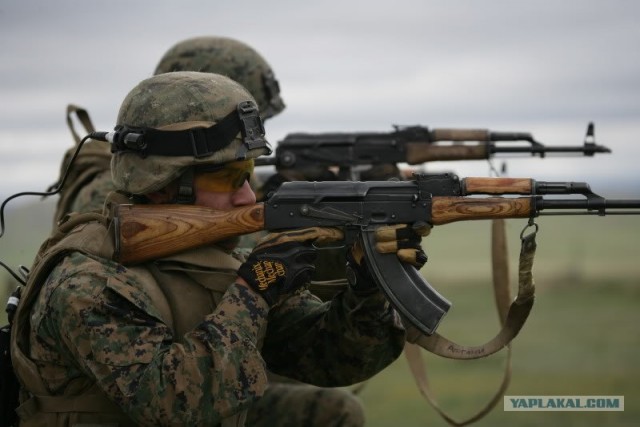 Лучший новогодний подарок для американца