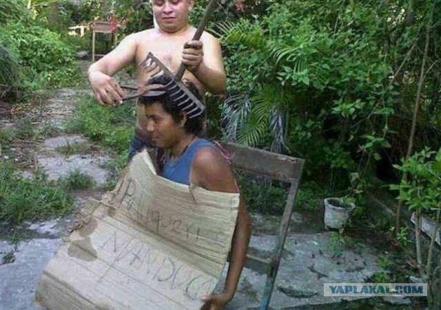 Подборка веселых картинок