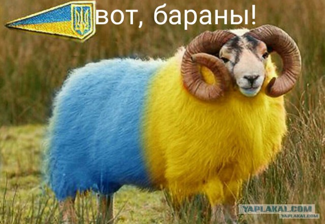 Украина переименовала Крансоперекопск в «Новые ворота»