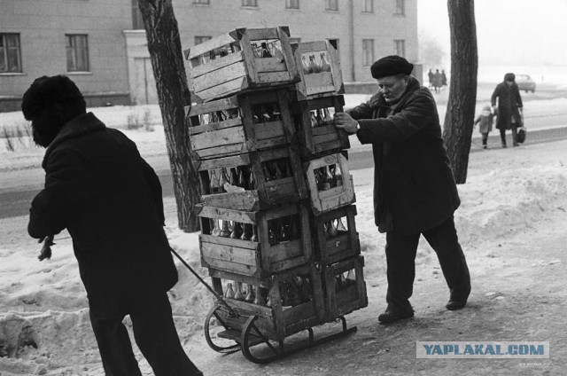 1980, Олимпиада, Москва, СССР