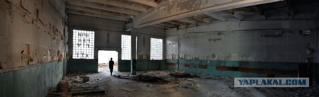 Семикаракорский консервный завод