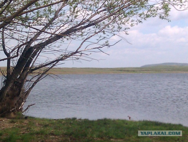 Степи Казахстана