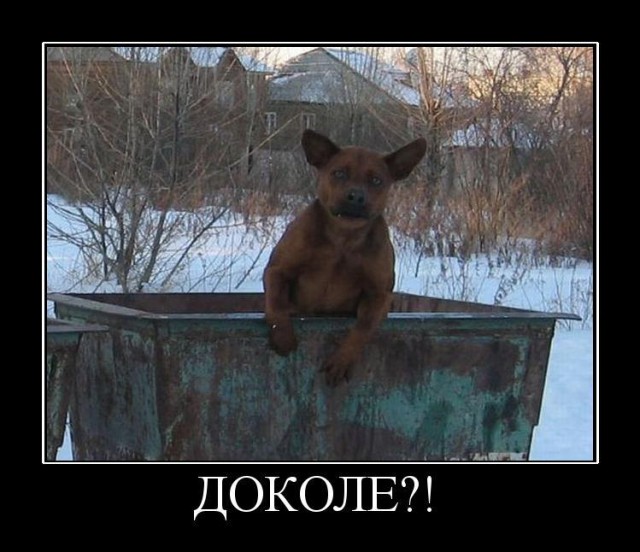 КОКОС: Возрождение Легенды. Голосование