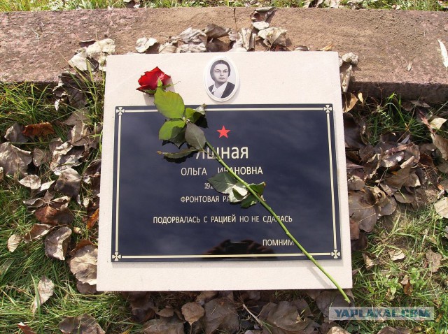Поляки почтили память павших советских солдат