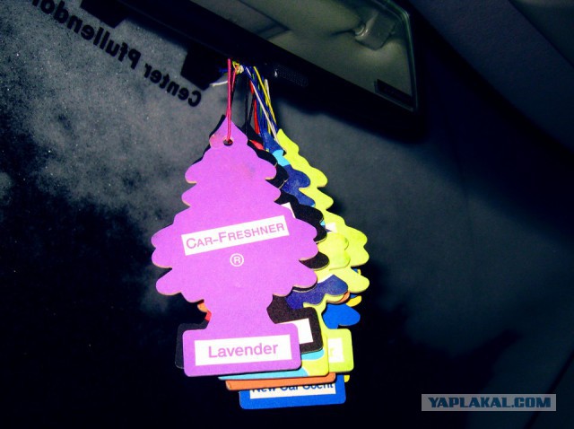 Петербуржец пришел в автосалон со львенком и купил Rolls-Royce за 40 миллионов