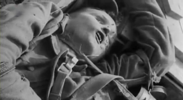 Берлинская операция. Апрель - май 1945 года.