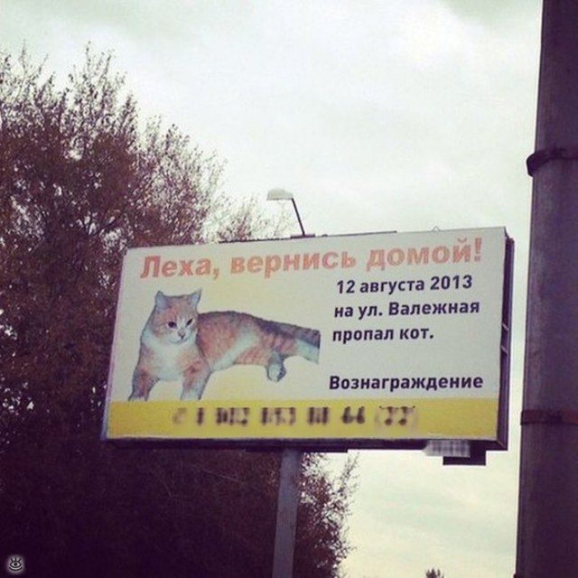 Всякое неожиданное случается