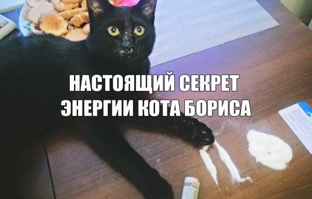 Субботняя деградация