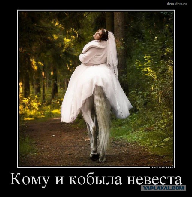 Идеал красоты