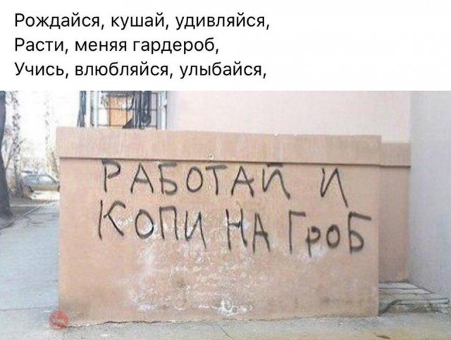 Подборка интересных и веселых картинок