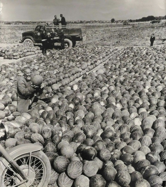 История в фотографиях