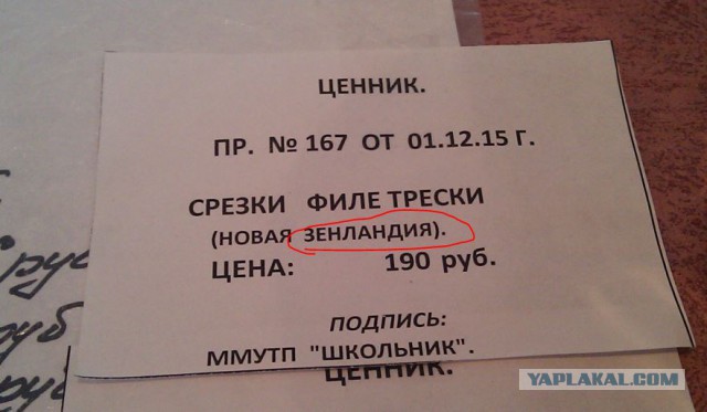 Эра двоечников настала. И они уже не стесняются ничего…