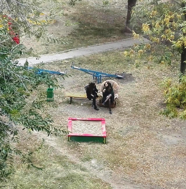 Чудики из социальных сетей