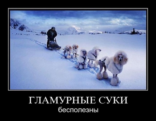 Отзыв о Лондоне от Леры Кудрявцевой