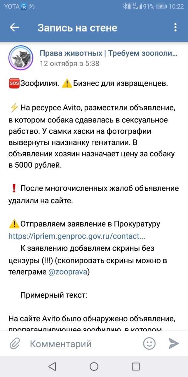 Помогите вернуть кота! Приют "Преданное сердце" украл кота и не отдает!