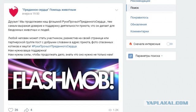 Помогите вернуть кота! Приют "Преданное сердце" украл кота и не отдает!