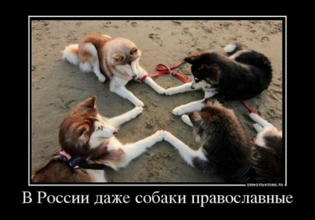 Бредзона